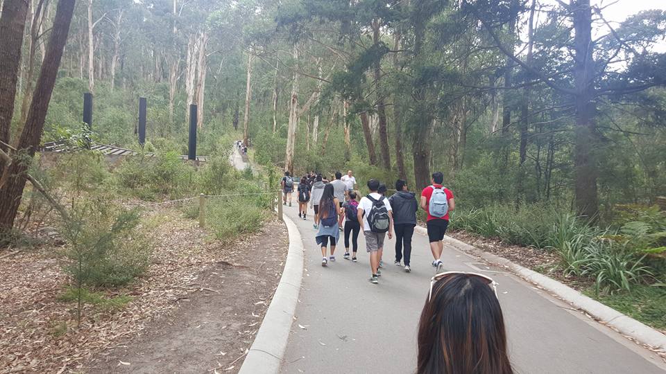 Activ8ed takes the 1000 Steps